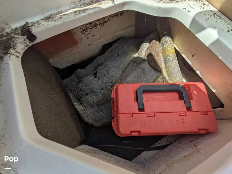 Slide: The Image of Sea Ray SPX 210 2020 - 15699063