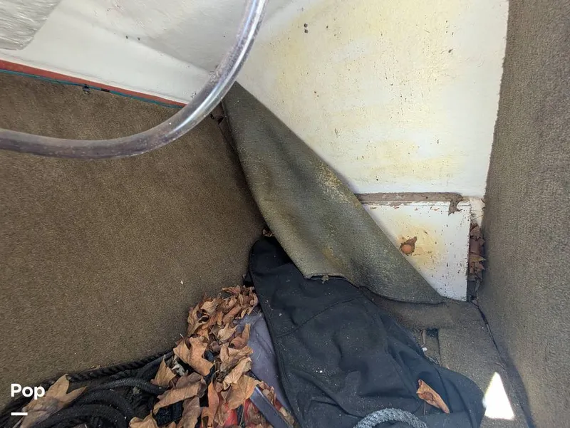 Slide: The Image of Sea Ray SPX 210 2020 - 15699116