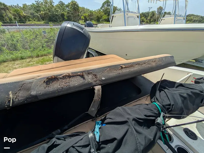 Slide: The Image of Sea Ray SPX 210 2020 - 15699151