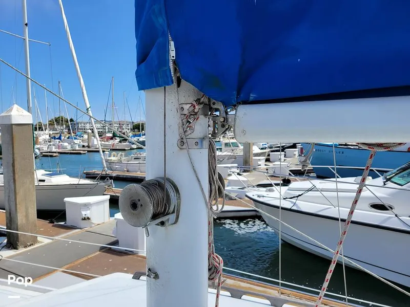 Slide: The Image of Columbia 41 1973 - 15725519