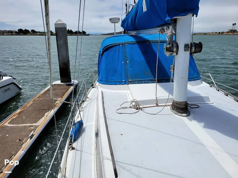 Slide: The Image of Columbia 41 1973 - 15725522