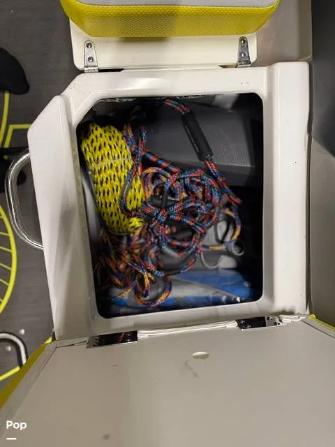 Slide: The Image of Scarab 255 ID 2022 - 15916125