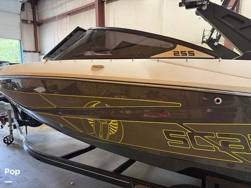 Slide: The Image of Scarab 255 ID 2022 - 15712980