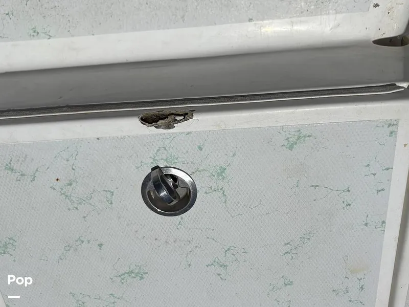 Slide: The Image of Damage - 15686799