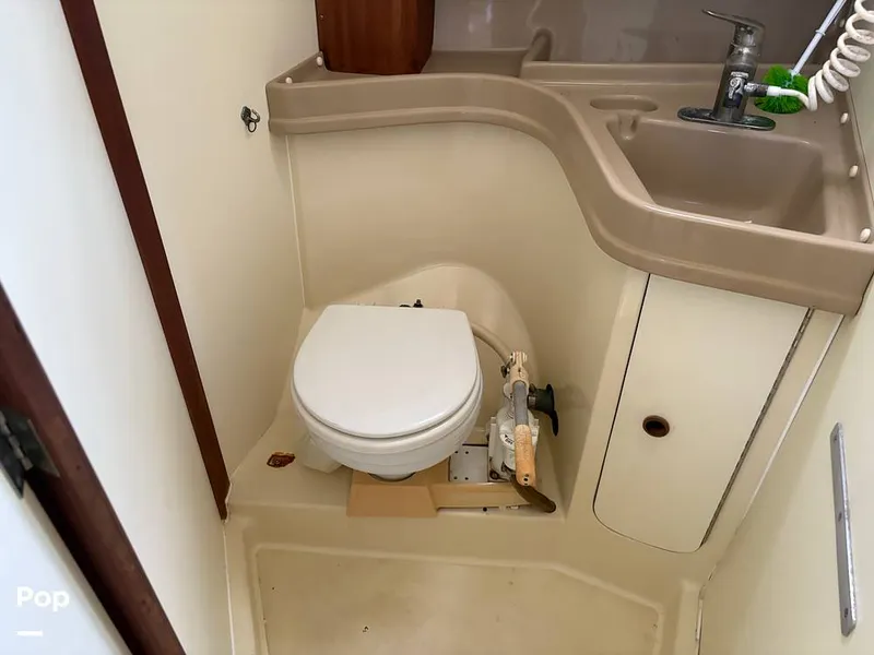 Slide: The Image of Head - 15686387