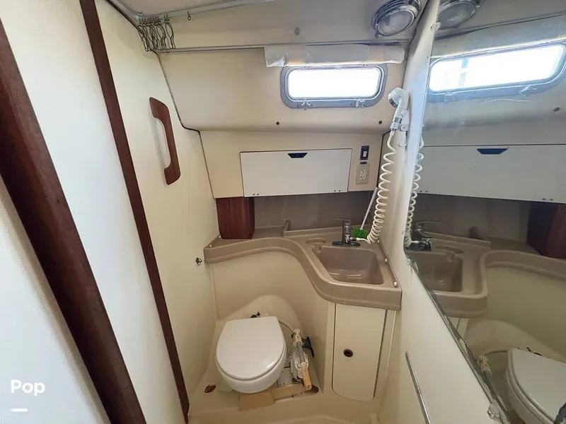 Slide: The Image of Head - 15686388