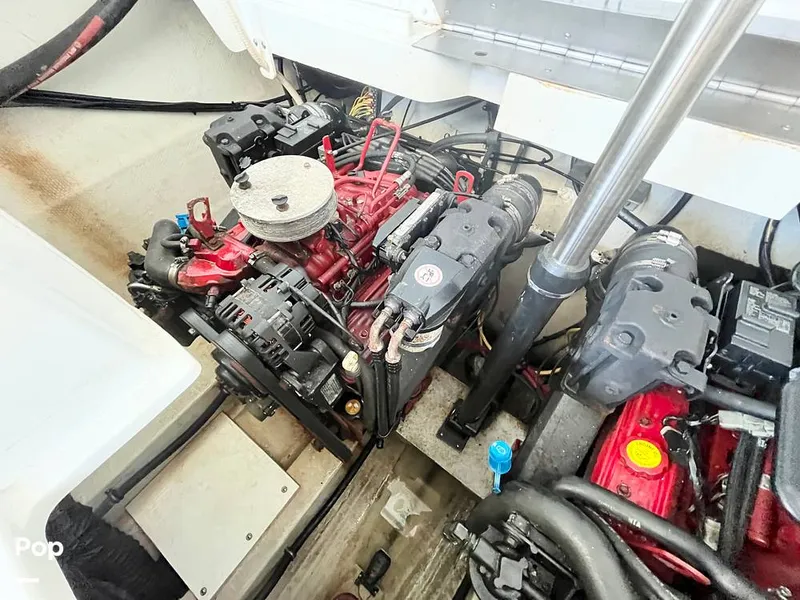 Slide: The Image of Cobalt 282 2007 - 15759776