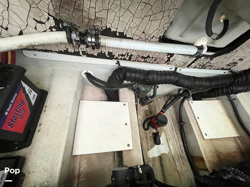 Slide: The Image of Cobalt 282 2007 - 15759781