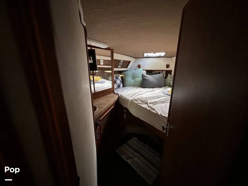 Slide: The Image of Sea Ray 360 Express 1982 - 15744479