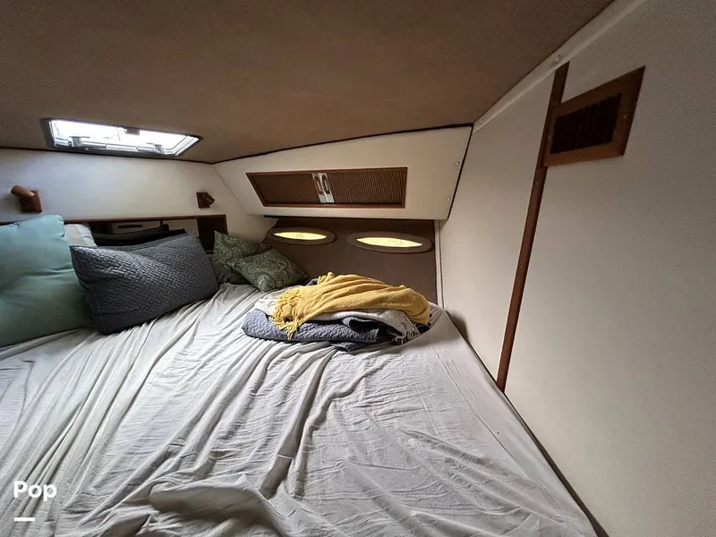 Slide: The Image of Sea Ray 360 Express 1982 - 15744481