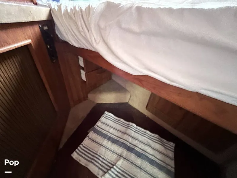 Slide: The Image of Sea Ray 360 Express 1982 - 15744484