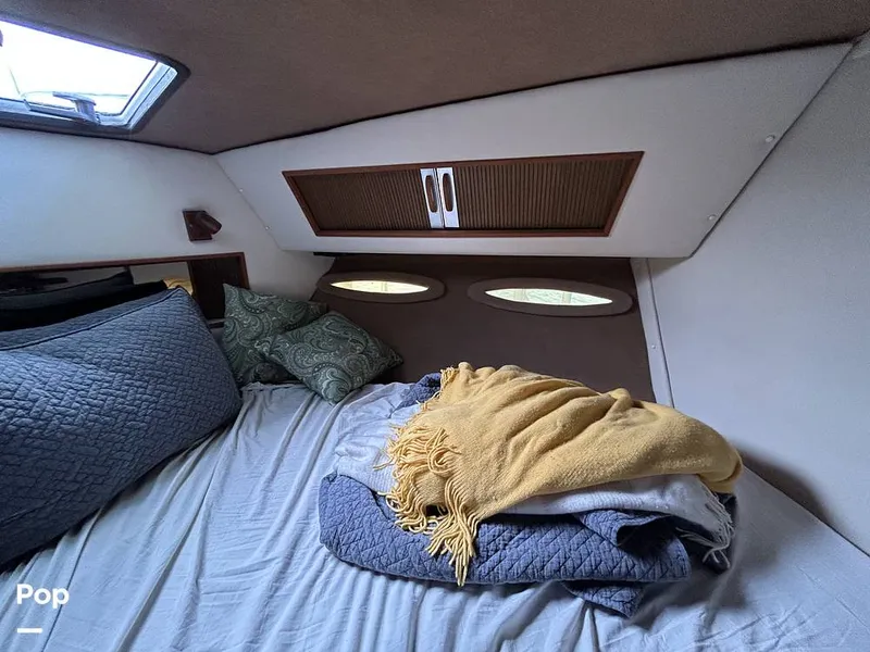 Slide: The Image of Sea Ray 360 Express 1982 - 15744491