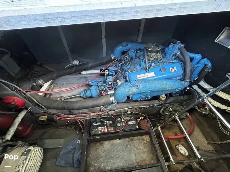 Slide: The Image of Sea Ray 360 Express 1982 - 15744361