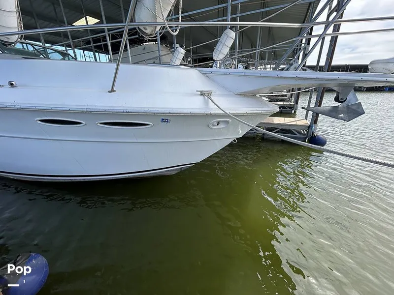 Slide: The Image of Sea Ray 360 Express 1982 - 15744384