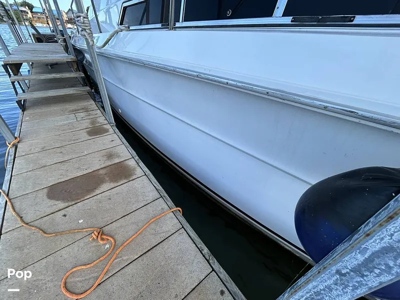 Slide: The Image of Sea Ray 360 Express 1982 - 15744385