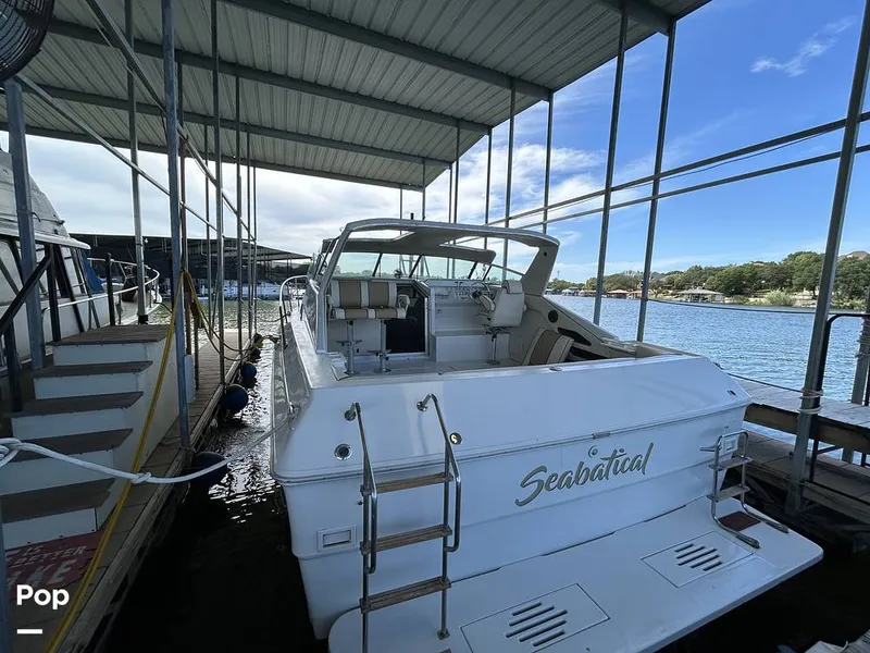 Slide: The Image of Sea Ray 360 Express 1982 - 15744392