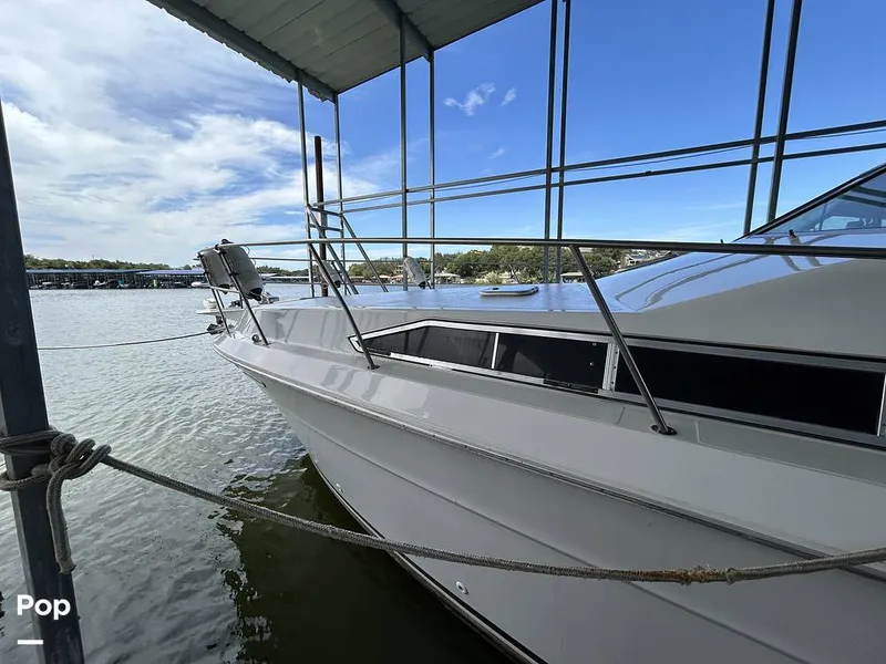 Slide: The Image of Sea Ray 360 Express 1982 - 15744399