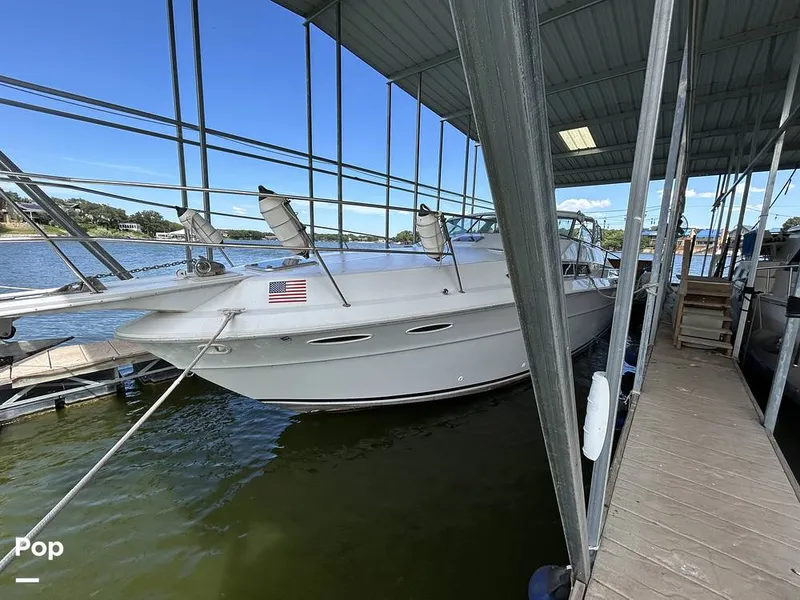 Slide: The Image of Sea Ray 360 Express 1982 - 15744401