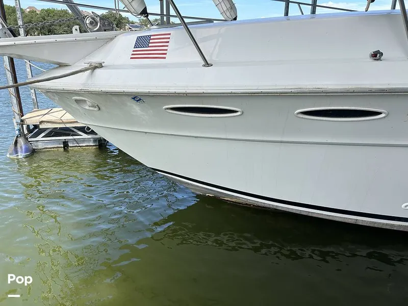 Slide: The Image of Sea Ray 360 Express 1982 - 15744403