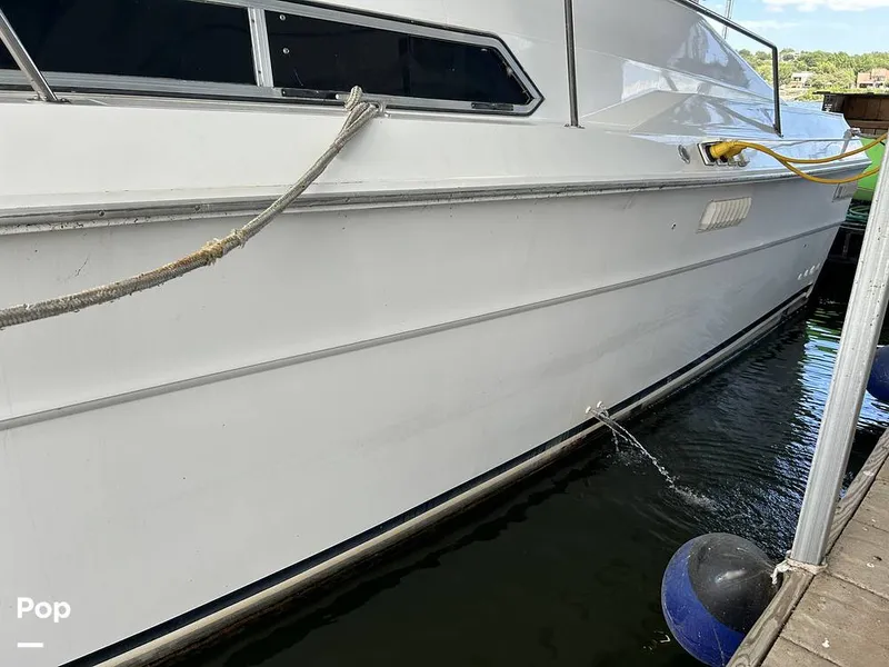 Slide: The Image of Sea Ray 360 Express 1982 - 15744406