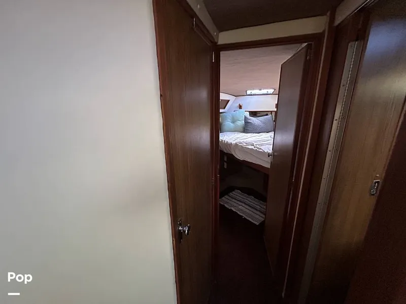 Slide: The Image of Sea Ray 360 Express 1982 - 15744468