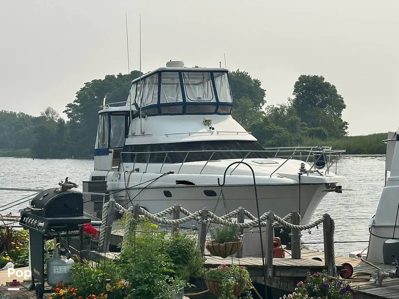 The Image of Silverton 41AC 1990 - 15724469