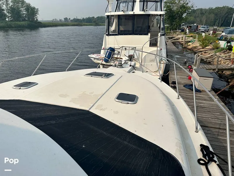 Slide: The Image of Silverton 41AC 1990 - 15724478