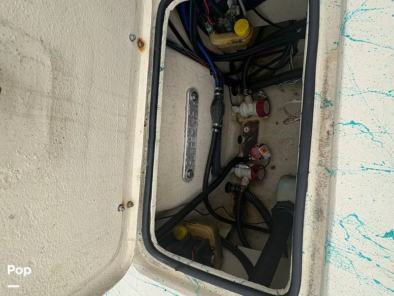 Slide: The Image of Haynie Magnum 23 2017 - 15919372