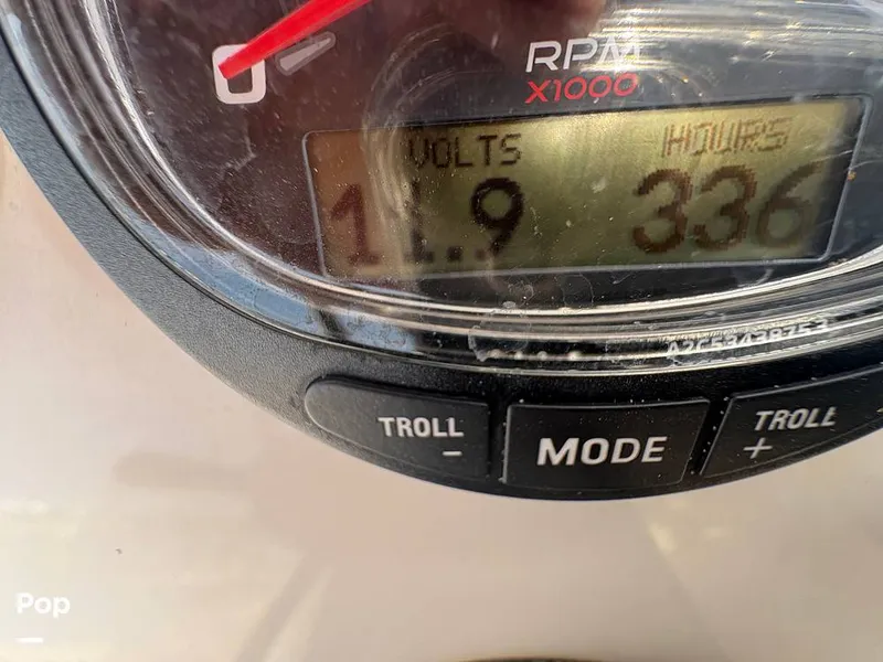 Slide: The Image of Haynie Magnum 23 2017 - 15919374