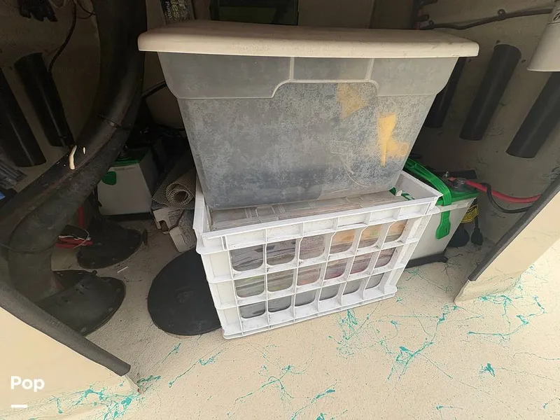 Slide: The Image of Haynie Magnum 23 2017 - 15919386