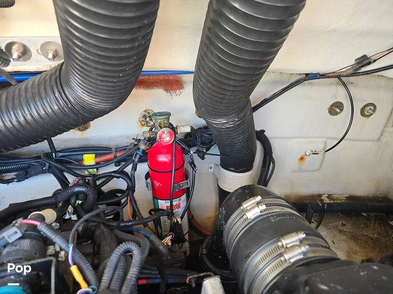 Slide: The Image of Sea Ray 240 Sundeck 2009 - 15736149