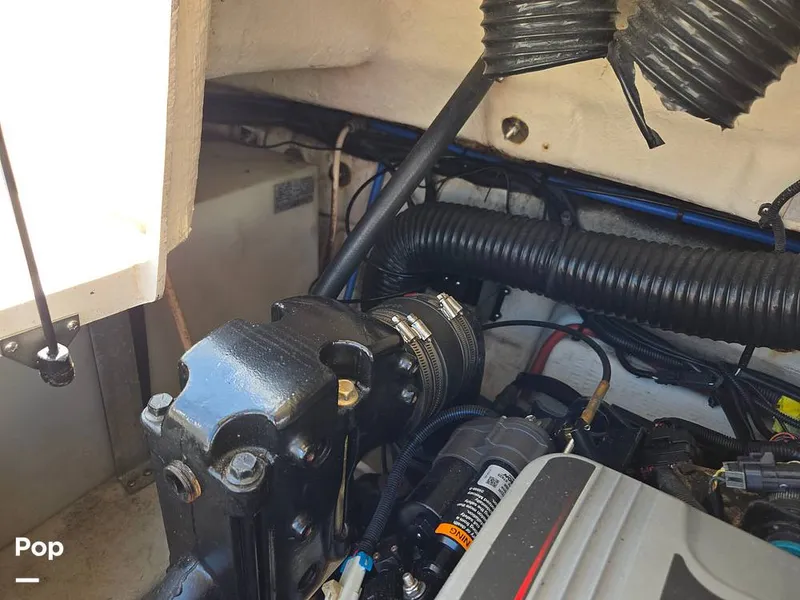 Slide: The Image of Sea Ray 240 Sundeck 2009 - 15736151