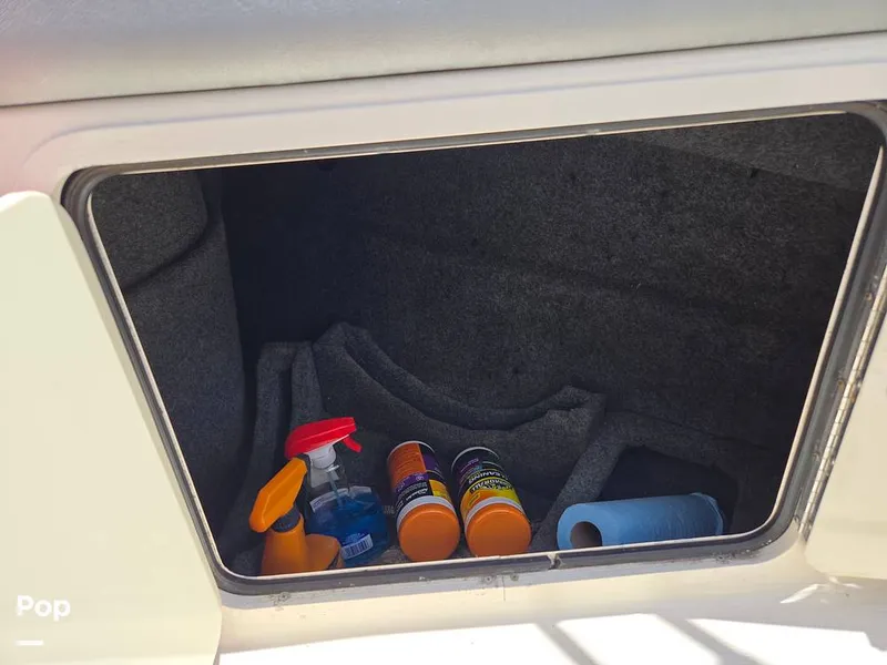 Slide: The Image of Sea Ray 240 Sundeck 2009 - 15736113