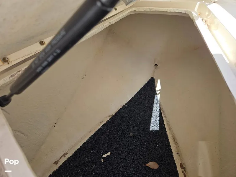 Slide: The Image of Sea Ray 240 Sundeck 2009 - 15736136