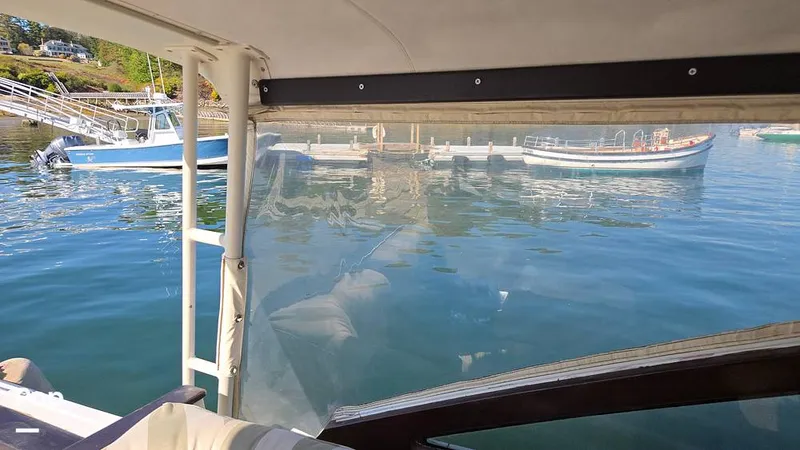 Slide: The Image of Little Harbor 38 Whisper Jet 1999 - 15924791