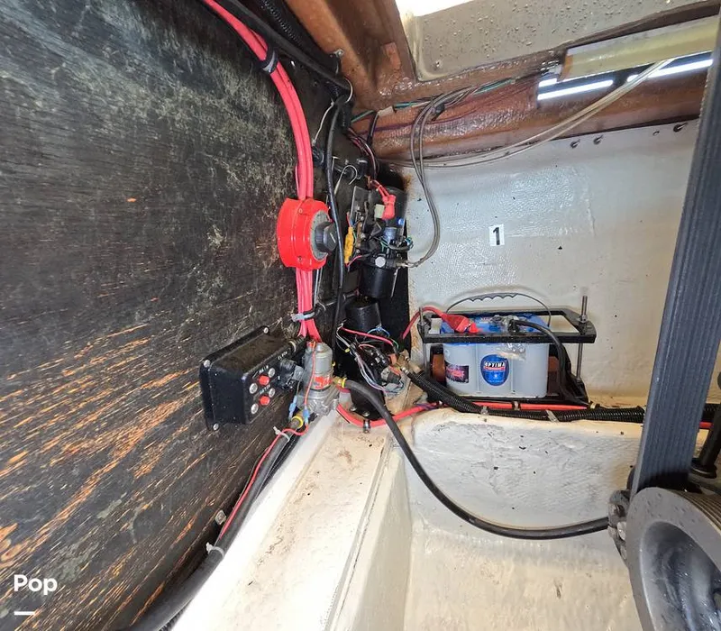 Slide: The Image of Scarab 38 KV 1988 - 15734751