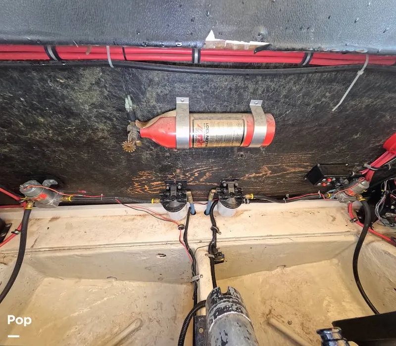 Slide: The Image of Scarab 38 KV 1988 - 15734752