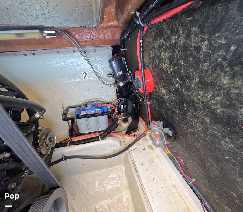 Slide: The Image of Scarab 38 KV 1988 - 15734753