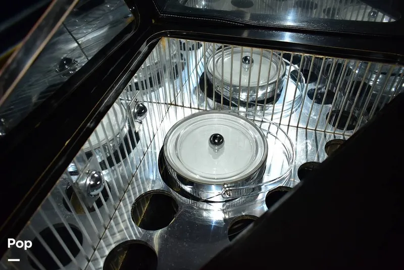 Slide: The Image of Scarab 38 KV 1988 - 15734790