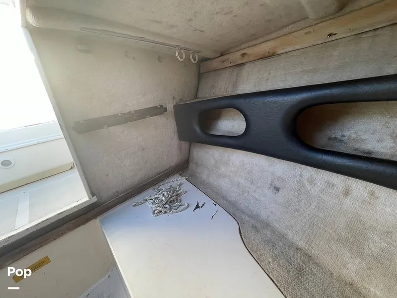 Slide: The Image of Pursuit 26 1989 - 15780072