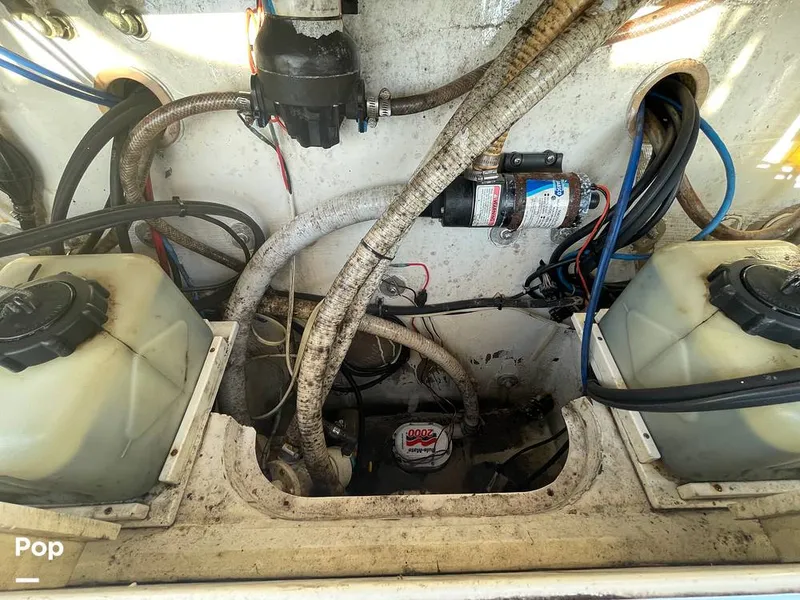 Slide: The Image of Pursuit 26 1989 - 15780016