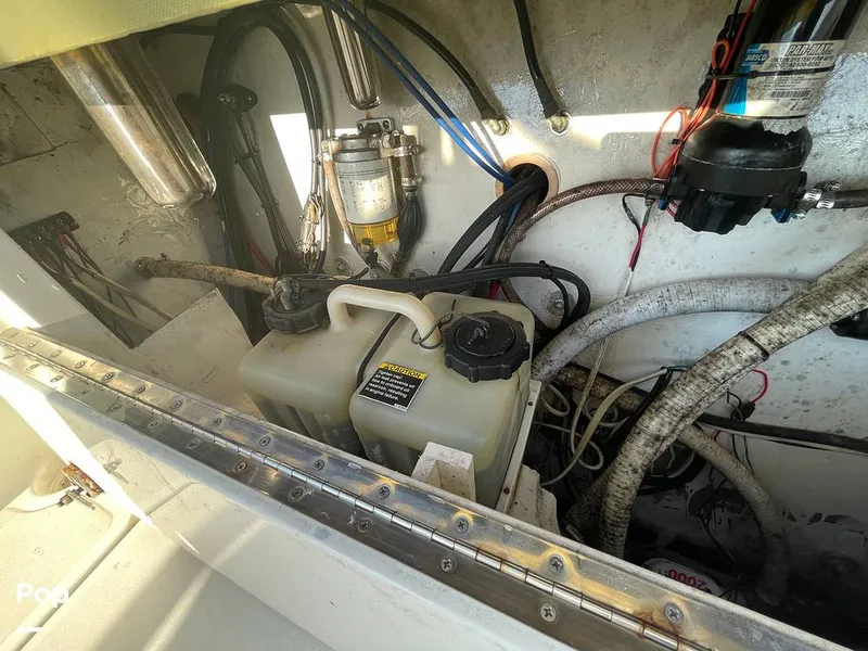 Slide: The Image of Pursuit 26 1989 - 15780017