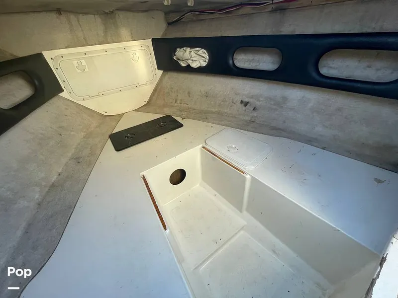 Slide: The Image of Pursuit 26 1989 - 15780067