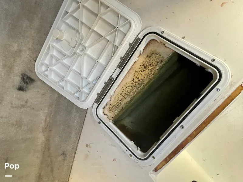 Slide: The Image of Pursuit 26 1989 - 15780069