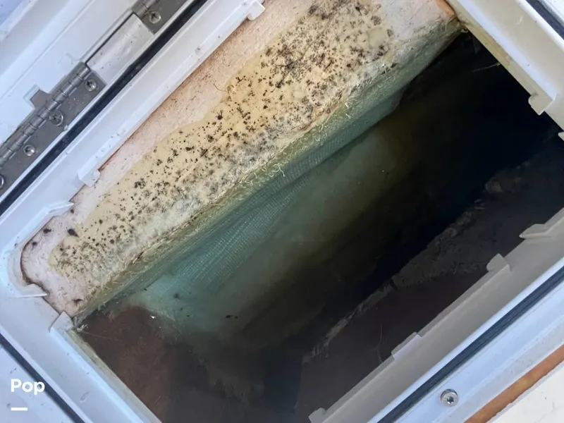 Slide: The Image of Pursuit 26 1989 - 15780070