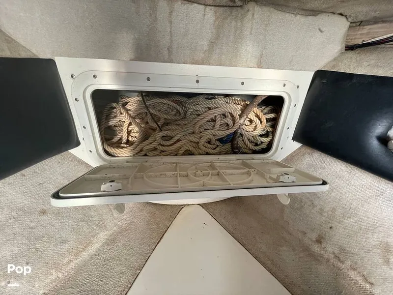 Slide: The Image of Pursuit 26 1989 - 15780071