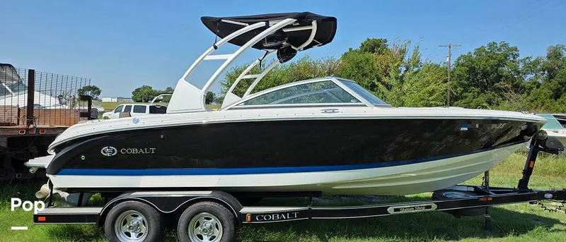 The Image of Cobalt 220 2012 - 16164979