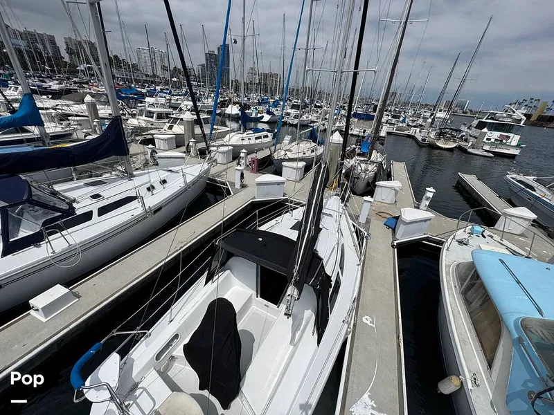 Slide: The Image of Catalina 270 1999 - 15694675