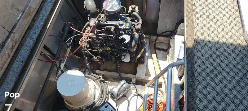 Slide: The Image of Sunstar 16X75 WB 1998 - 15772025