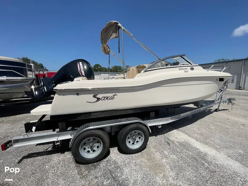 The Image of Scout 210 Dorado 2023 - 15701171